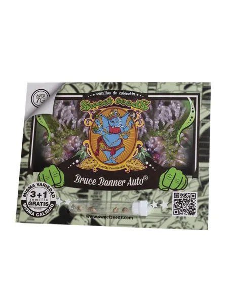 ES - Bruce Banner Auto® 3+1