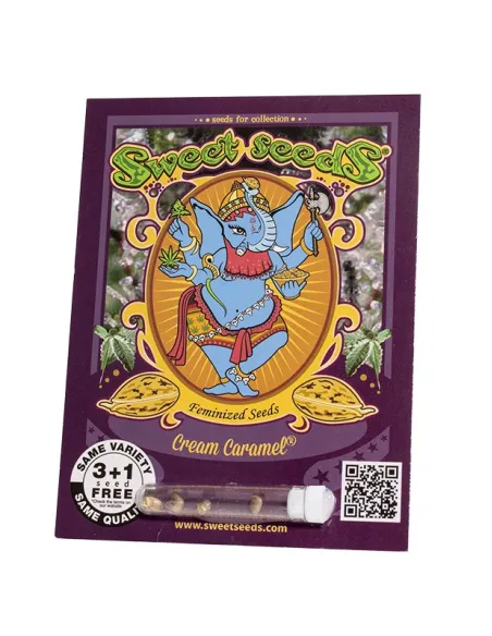 EN - Cream Caramel® 3+1