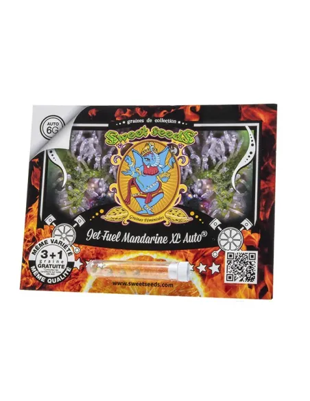 FR - Jet Fuel Mandarine XL Auto® 3+1
