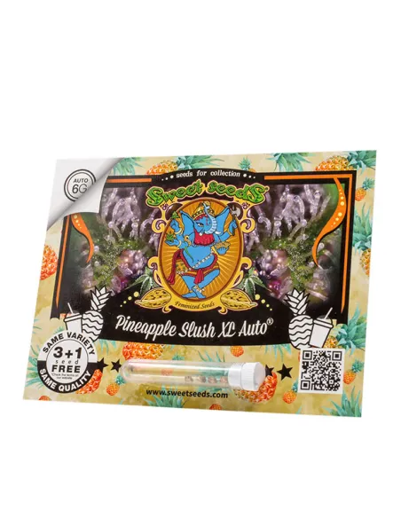 EN - Pineapple Slush XL Auto® 3+1