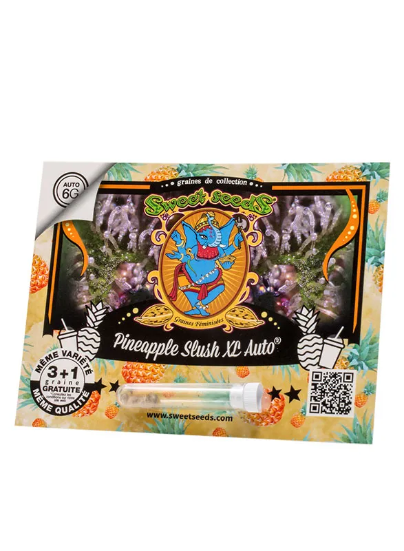 FR - Pineapple Slush XL Auto® 3+1