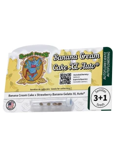Banana Cream Cake XL Auto® 2