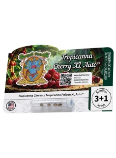 Tropicanna Cherry XL Auto® 2