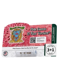 Pink Guava F1 Fast Version® 2