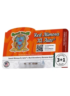 Red Mimosa XL Auto® 2