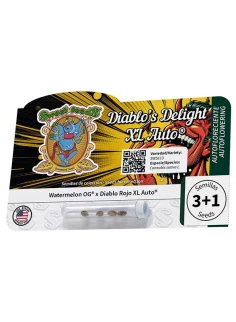 Diablo’s Delight XL Auto® 2