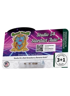 Studio 54 Stardust Auto® 2