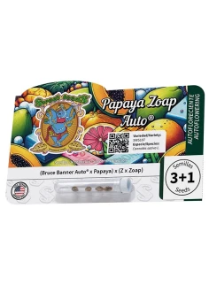 Papaya Zoap Auto® 2
