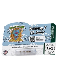 Jealousy Z XL Auto® 2