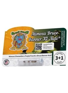 Mimosa Bruce Banner XL Auto® 2