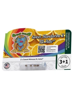 Sweet Mandarine Z XL Auto® 2