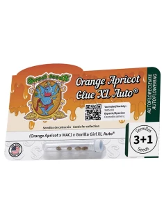Orange Apricot Glue XL Auto® 2