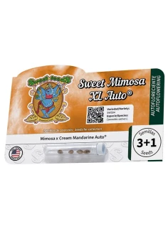 Sweet Mimosa XL Auto® 2