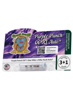 Purple Punch OG XL Auto® 2