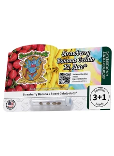 Strawberry Banana Gelato XL Auto® 2