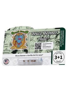 Bruce Banner Auto® 2