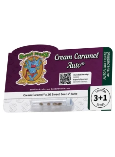 Cream Caramel Auto® 2