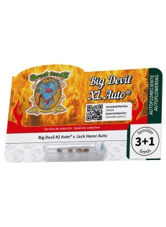 Big Devil XL Auto® 2