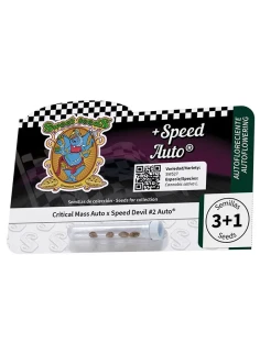 +Speed Auto® 2