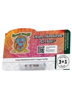Cream Mandarine XL Auto® 2