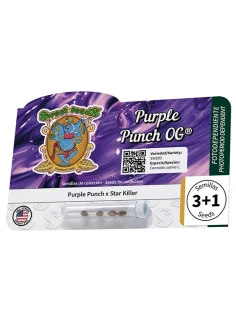 Purple Punch OG® 2