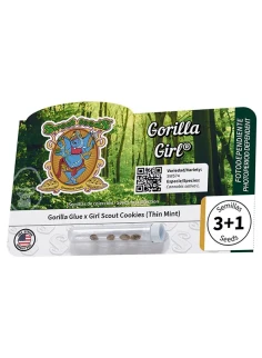 Gorilla Girl® de Sweet Seeds® 100% feminizada 2