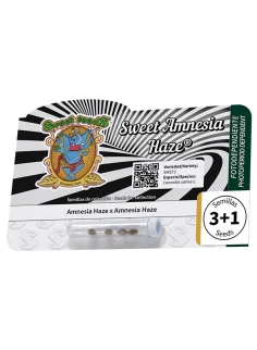 Semillas de cannabis Sweet Amnesia Haze® 2