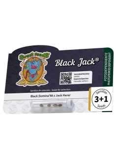 Black Jack® 2