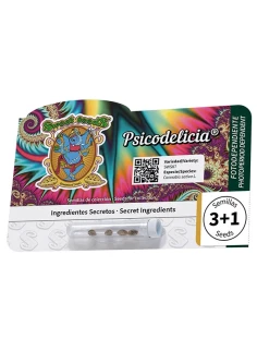 Psicodelicia® 2