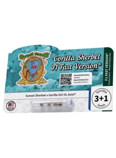 Gorilla Sherbet F1 Fast Version® 2