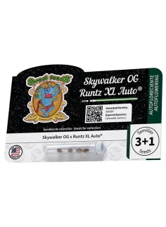 Skywalker OG Runtz XL Auto® 2