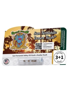 San Fernando Lemon Kush® 2