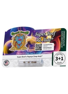 Super Boof XL Auto® 2