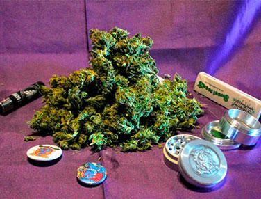 Seguimiento de cultivo Sweet Amnesia Haze XL Auto