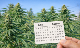 CalendarioComienzoFloracion