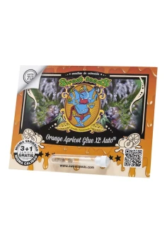 Orange Apricot Glue XL Auto® 2