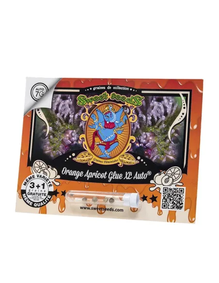 FR - Orange Apricot Glue XL Auto® 3+1