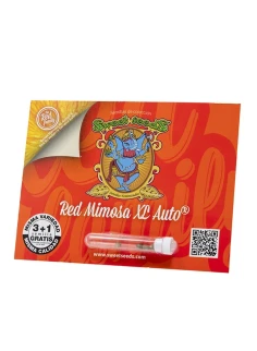 Red Mimosa XL Auto® 2