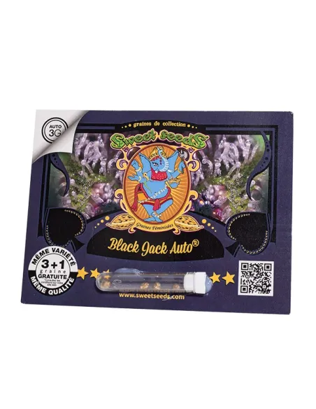 FR - Black Jack Auto® 3+1