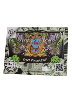 Bruce Banner Auto® 2