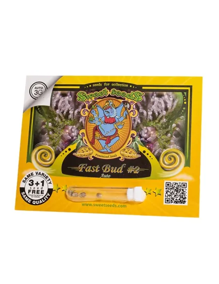 EN - Fast Bud #2 Auto® 3+1