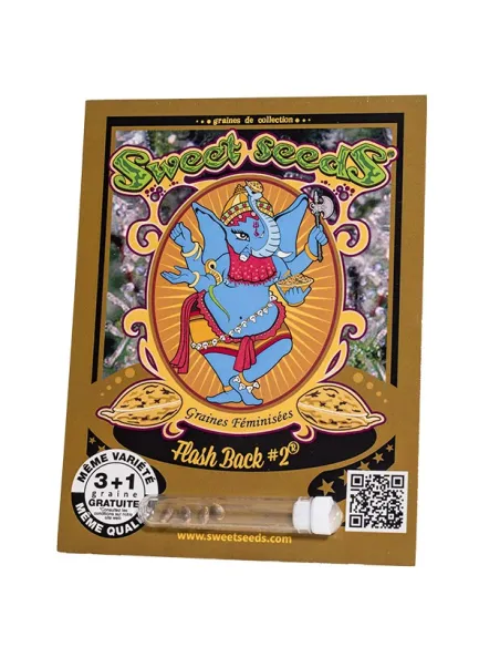 FR - Flash Back #2® 3+1