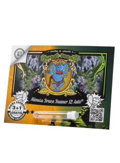 Mimosa Bruce Banner XL Auto® 2