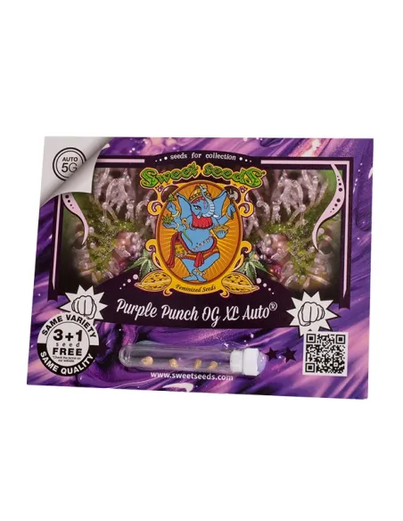 EN - Purple Punch OG XL Auto® 3+1