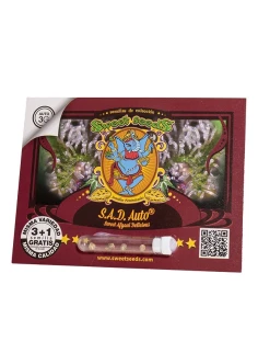 S.A.D. Sweet Afgani Delicious Auto® 2