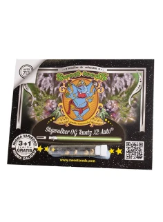 Skywalker OG Runtz XL Auto® 2