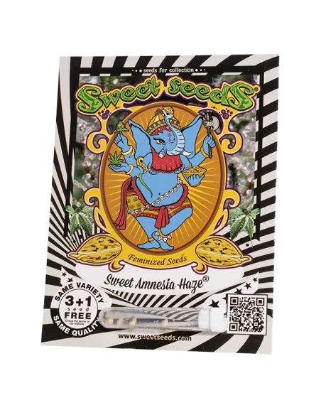 EN - Sweet Amnesia Haze® 3+1