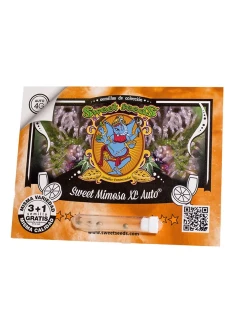 Sweet Mimosa XL Auto® 2