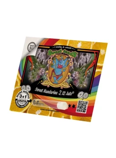 Sweet Mandarine Z XL Auto® 2