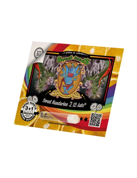 FR - Sweet Mandarine Z XL Auto® 3+1